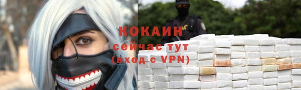 дживик Абинск