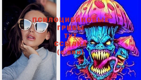 дживик Абинск