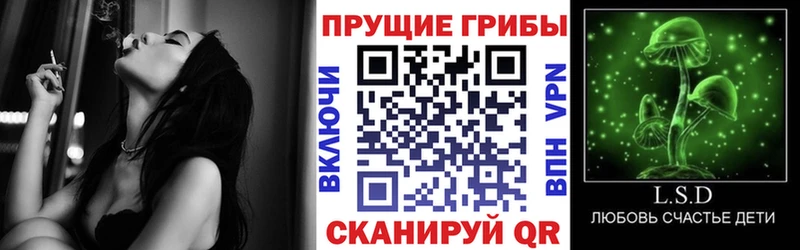 купить наркоту  Торопец  Галлюциногенные грибы прущие грибы 